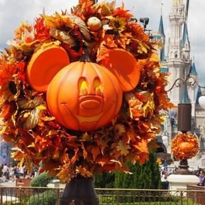 Meet your Posher, Lorri